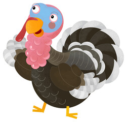 cartoon scene with turkey bird poultry garm animal theme isolated background illustration for children