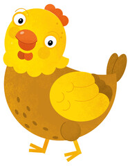 cartoon scene with happy hen chicken poultry farm animal isolated background illustration for children