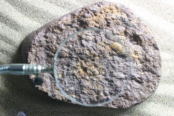 glass with magnifying to see ancient stones
