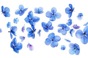 Blue flowers arranged in a decorative, nature-inspired pattern with touches of purple and violet, set against a white background for a fresh, springtime design
