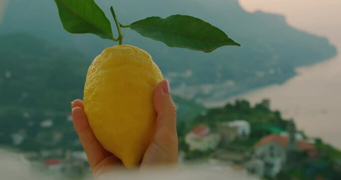 A single lemon held aloft against the soft morning sky, Lattari mountains and the Amalfi coast on the background.