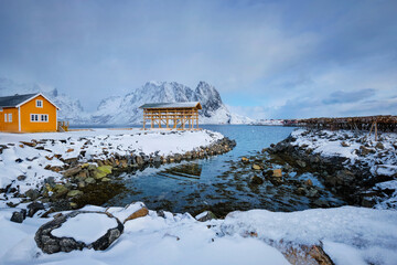 Rorbu house and drying flakes for stockfish cod fish in winter. Lofoten islands, Norway
