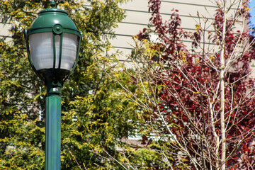 street lamp and flowers