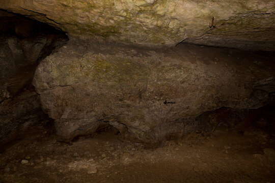 Speleology. The Bacho Kiro cave, Dryanovo, Bulgaria.