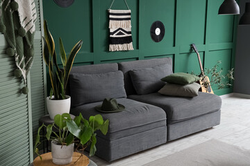 Beautiful interior of green living room with comfortable black sofa