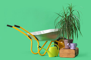 Watering cans, plant and wheelbarrow on green background