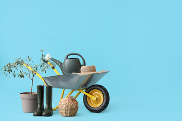 Plant, gardening tools and wheelbarrow on blue background