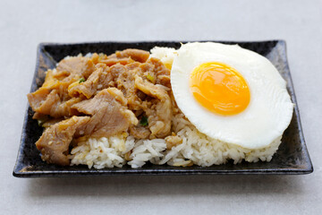 Rice with Pork sliced stir fried soy sauce with  fried egg