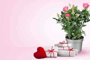 Beautiful fresh bouquet of flowers in vase with gift box