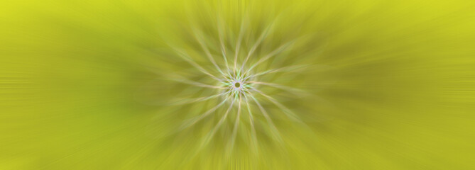 An abstract iridescent star burst background image.