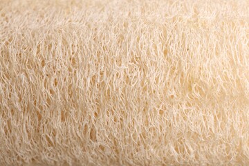 Loofah sponge as background, closeup. Personal hygiene product