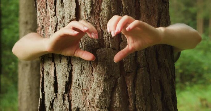 Hands form a heart shape against a tree trunk, symbolizing love for nature. International Day of Forests.