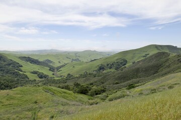 Scenic green spring hills of California