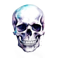 Watercolor skull. Hand drawn illustration. Isolated on white background.