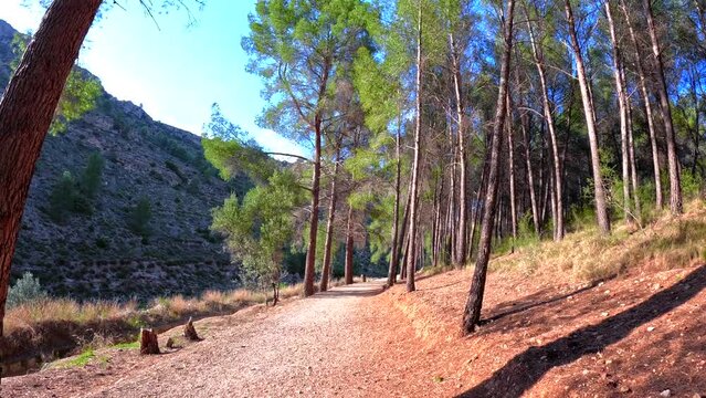 La vuelta de Hoz de J&eacute;rica, una hermosa ruta para desconectar con la naturaleza
