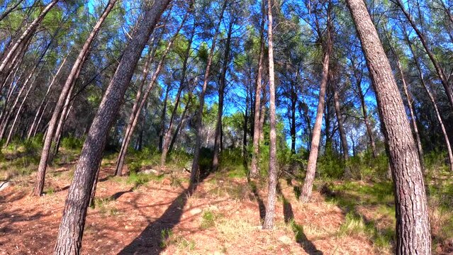 La vuelta de Hoz de J&eacute;rica, una hermosa ruta para desconectar con la naturaleza