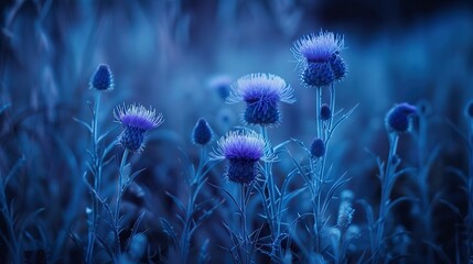 photo of single beautiful bioluminescent thistle flowers in nature