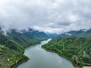 Overlooking stream in green forest