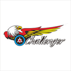 Vector of an eagle with colorful and fluttering wings, with a circle shape with the logo and the word challenger, can be used as a graphic design