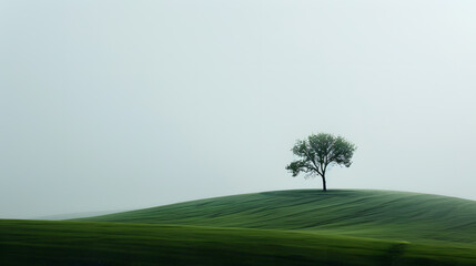 Fototapeta premium Minimalist photography background