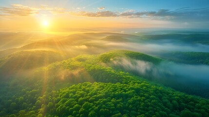 Beautiful sunrise over the lush mountains, aerial view of the forest trees, concept of a healthy rainforest ecosystem and environment background, texture of the green forest seen from above.