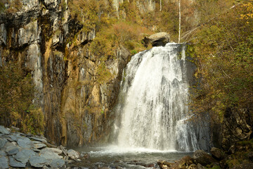 A powerful waterfall flows in a wide stream from a high mountain, surrounded by yellowed autumn forest.