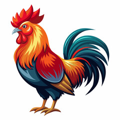 Rooster vector art illustration (6)