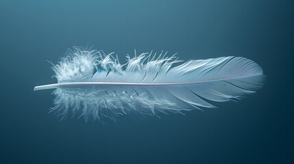 Serene Single White Feather Centered on Dark Blue Background with Delicate Soft Barbs and Sturdy Quill