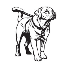 Dog Vector Art, Icons, and Graphics. illustration of a dog