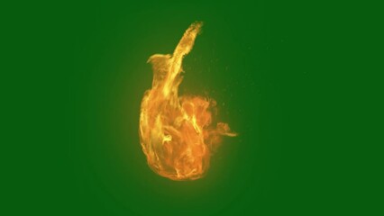 Burning flame isolated on green screen background