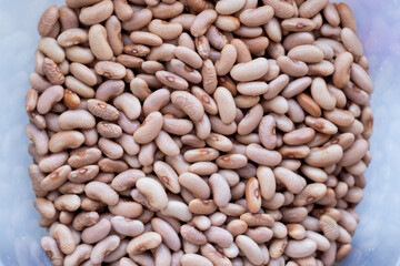 Red beans. Bean texture.Red beans in a container.