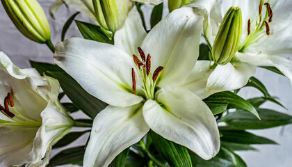 Naklejka premium Beautiful white lilies on light background, symbol of gentleness, purity and virtue. closeup