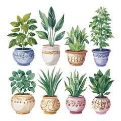 Fototapeta premium collection of herbs