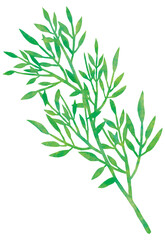 Naklejka premium 笹 七夕素材 飾り