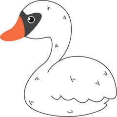 Cute swan