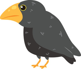 Cute crow