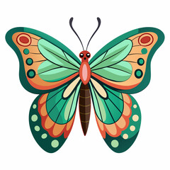 butterfly vector illustration and isolated on white background