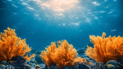 Underwater seascape with vibrant orange coral reef and sun rays piercing through the ocean concept of marine life and nature