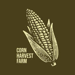 vintage hand drawn corn harvest vector illustration