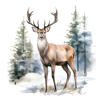 Beautiful vector image with nice watercolor deer in the winter forest