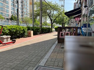 korea,spring,street