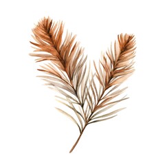 Watercolor pine branch isolated on white background. Hand drawn illustration.