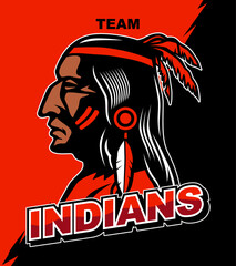 Indian logo vector. Tribe mascot