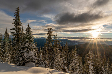 a snowy sunrise in the forest in winter