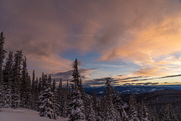 a snowy sunrise in the forest in winter