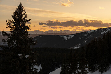a snowy sunrise in the forest in winter