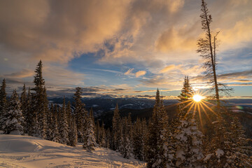 a snowy sunrise in the forest in winter