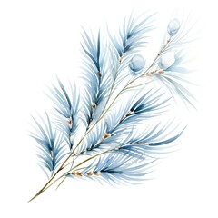 Fototapeta premium Watercolor blue spruce branch. Hand painted illustration on white background