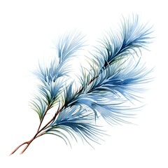 Watercolor blue branch of a Christmas tree on a white background.