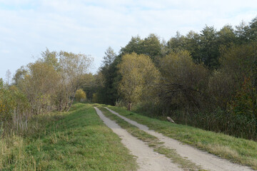 Road on the outskirts of the village of Matrosovo in the Kaliningrad region